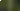 Immersion in the biome